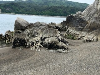 地元の海２（宮古市）