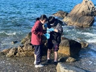固着生物採集（活動の記録）