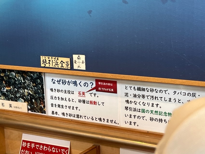 琴引浜鳴き砂文化館見学