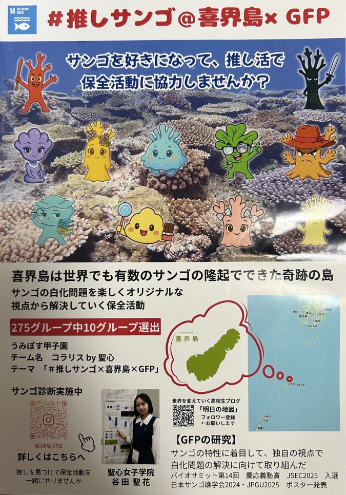 ちらし完成！広報頑張ります