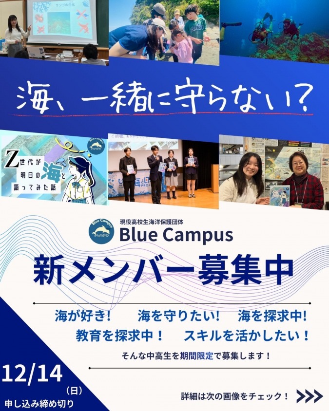 Blue Campus、新メンバーを募集します！