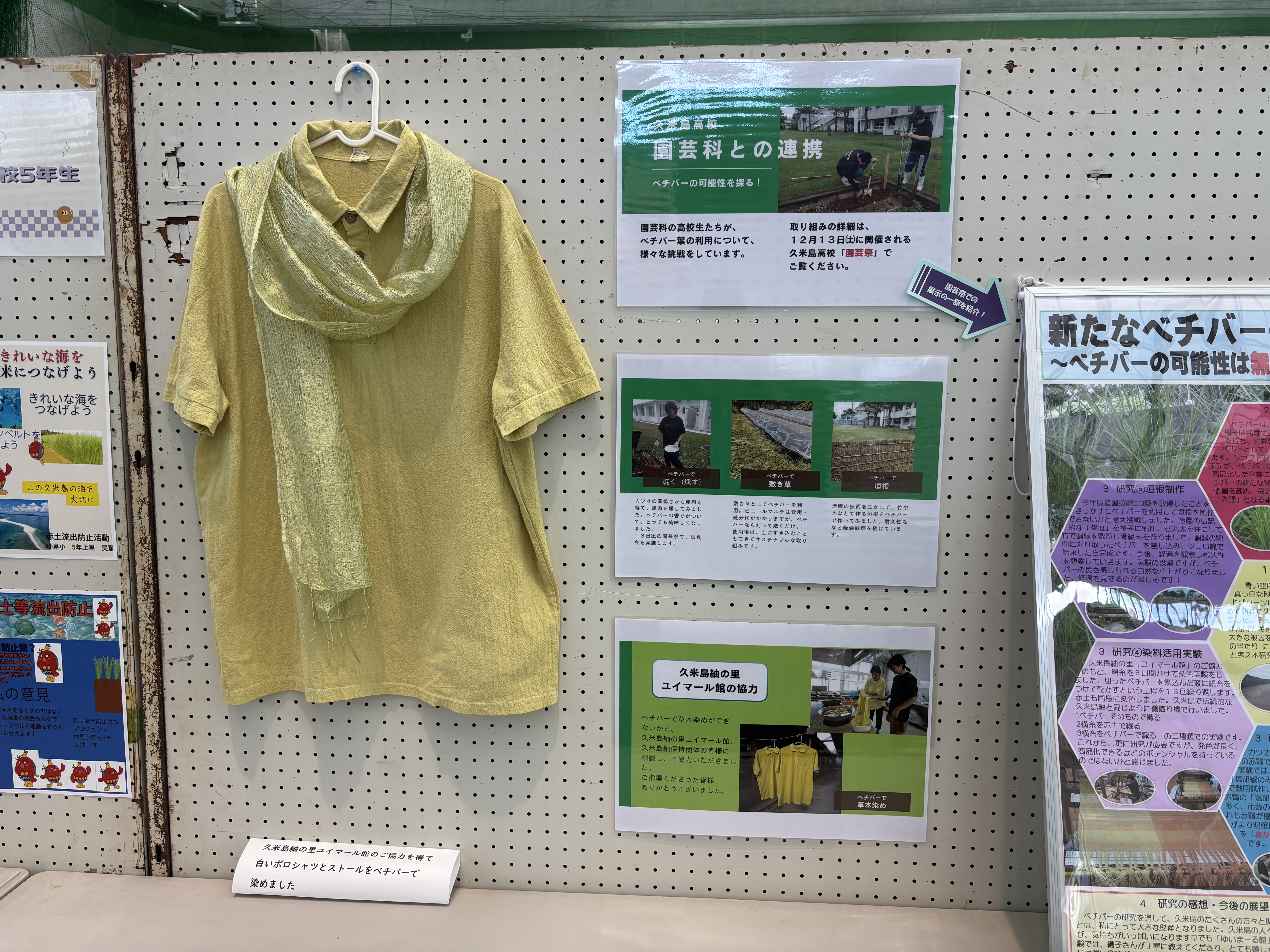 染展示