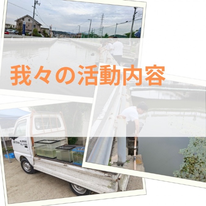 私たちの活動について