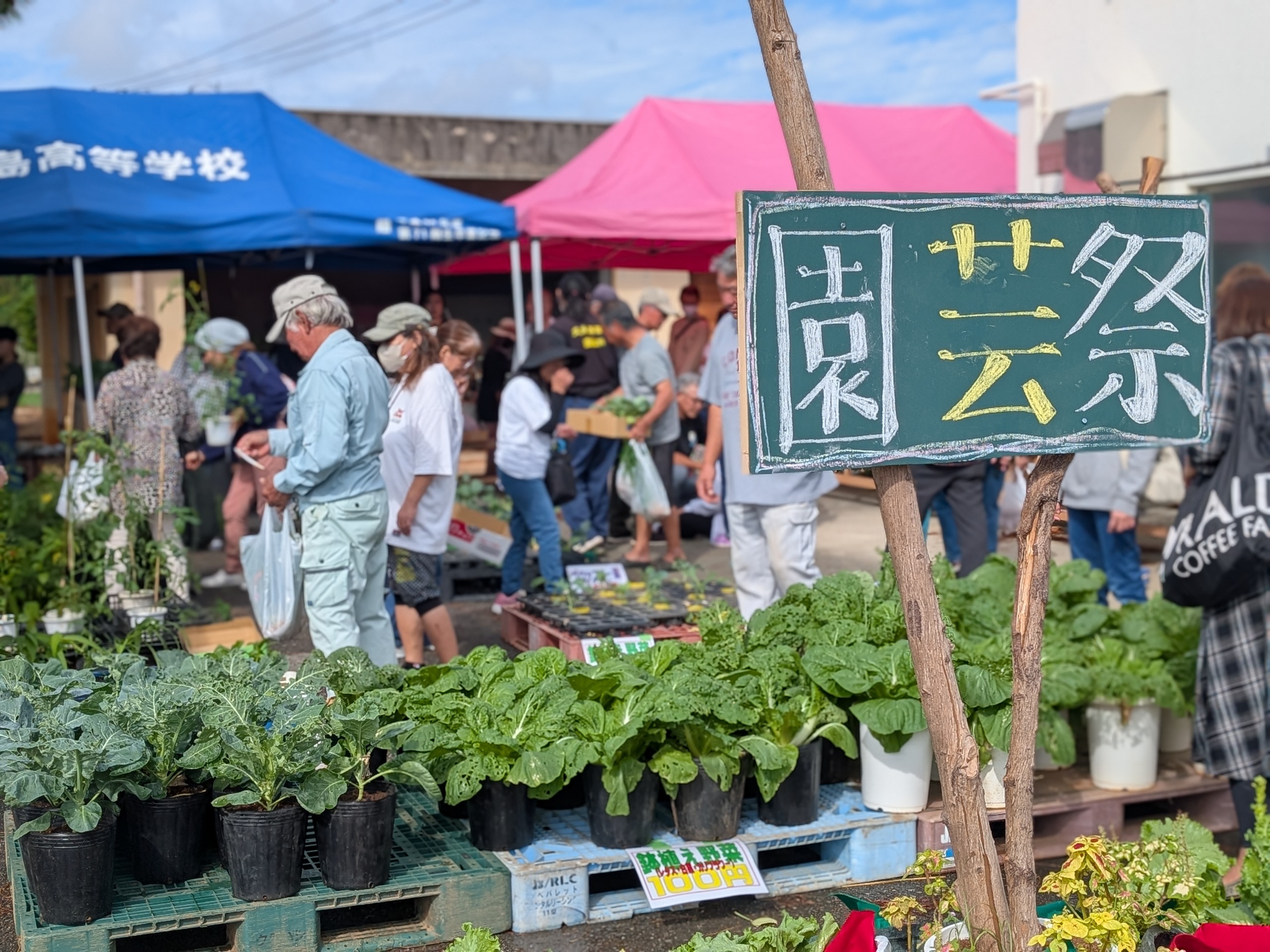 園芸祭