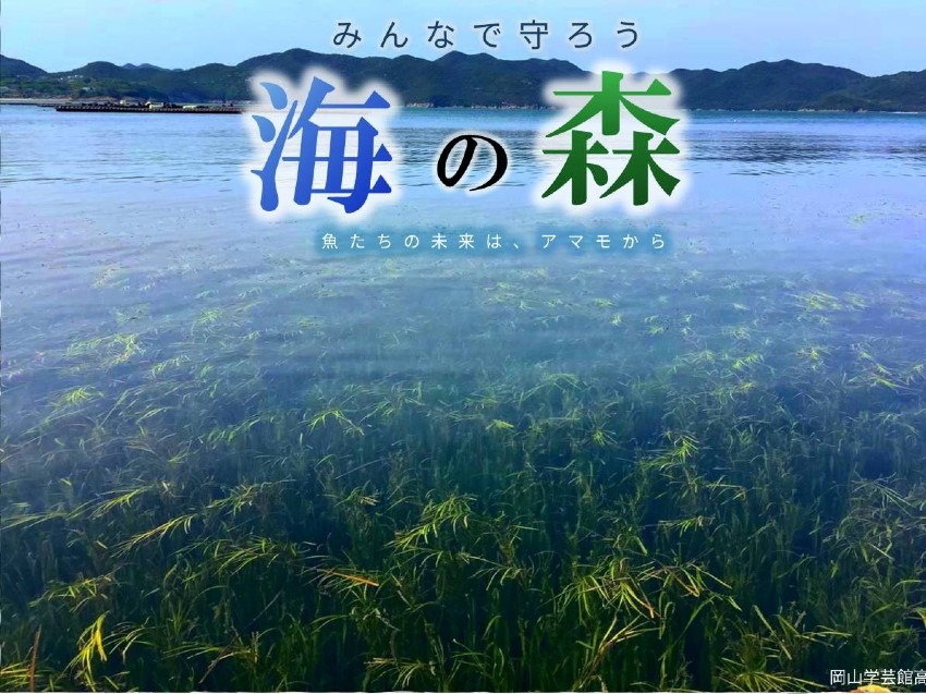 【 レスキュー隊誕生 】私達の研究チームをご紹介 !!