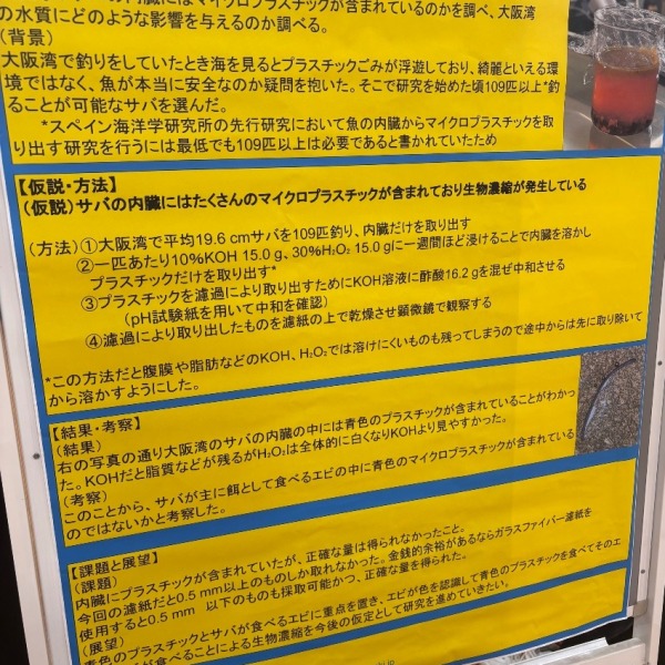 中間発表