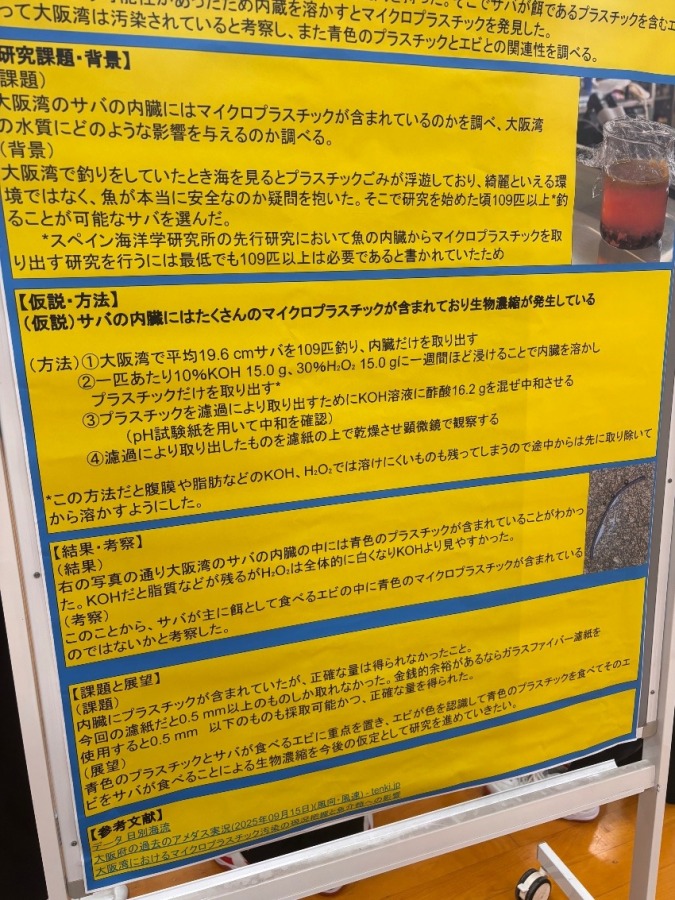 中間発表