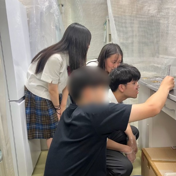 【 私達の研究 】アマモ×プラズマで海を救いたい !