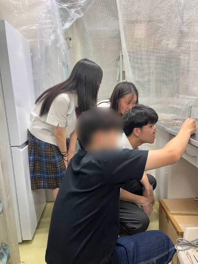 【 私達の研究 】アマモ×プラズマで海を救いたい !